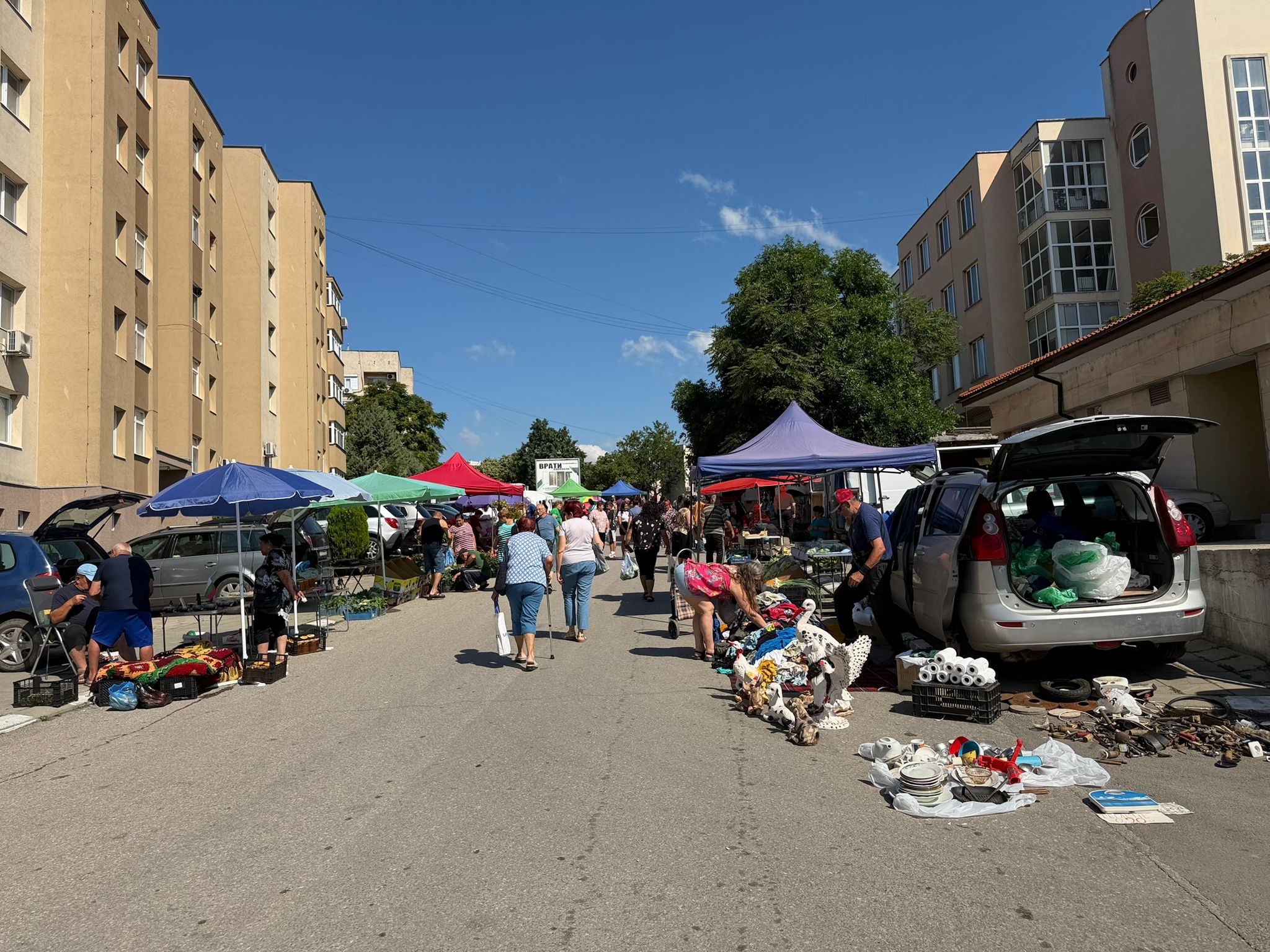 Simeonovgrad Friday Market