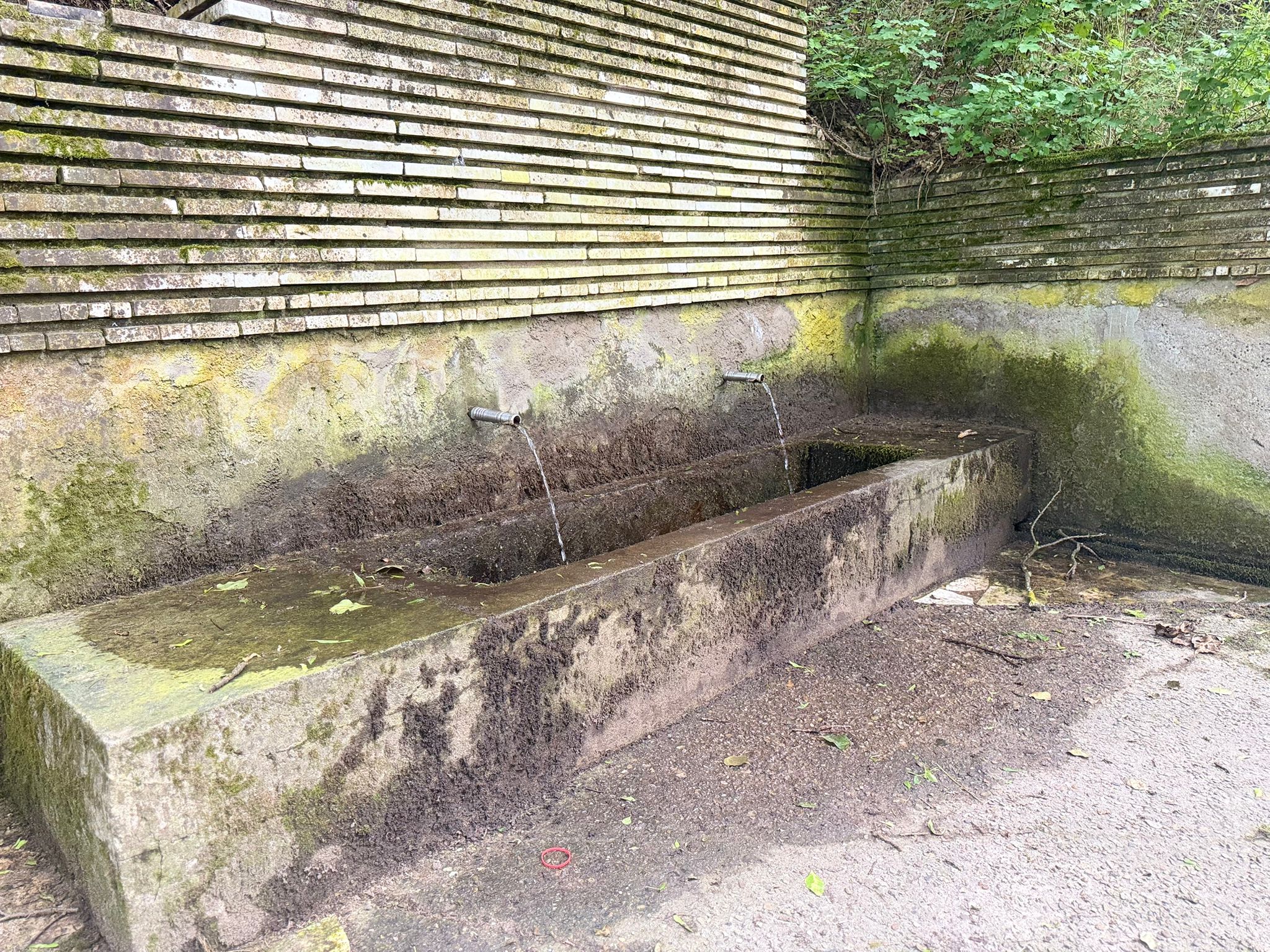 Natural Water Spring